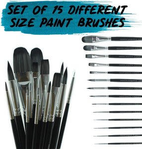 15 Piece Brush Set Case